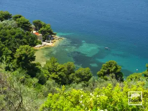 Fournakia Beach  - SKIATHOS