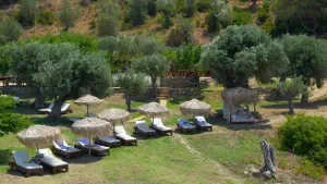 Kechria Beach  - SKIATHOS