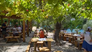Kechria Beach  - SKIATHOS