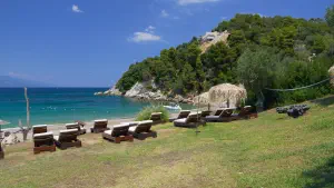 Kechria Beach  - SKIATHOS