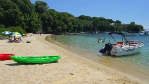 Kolios Beach  - SKIATHOS