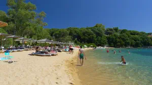 Kolios Beach  - SKIATHOS