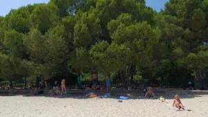 Koukounaries Beach  - SKIATHOS