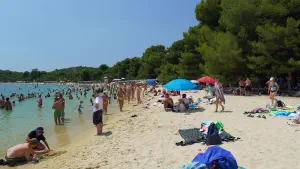 Koukounaries Beach  - SKIATHOS