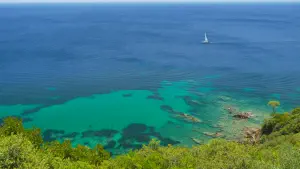 Koutsouri Beach  - SKIATHOS