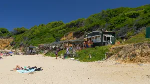 Mandraki Beach  - SKIATHOS