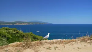 Mandraki Beach  - SKIATHOS