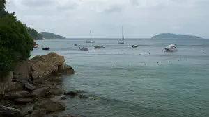 Megali Ammos Beach  - SKIATHOS