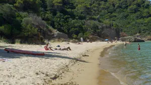 Megali Banana Beach  - SKIATHOS