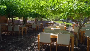 Megali Banana Beach  - SKIATHOS