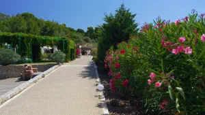 Megali Banana Beach  - SKIATHOS
