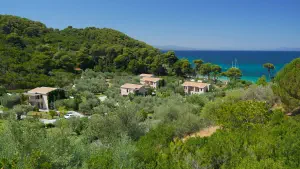 Megali Banana Beach  - SKIATHOS