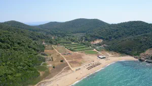 Megalos Aselinos Beach  - SKIATHOS