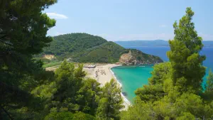 Megalos Aselinos Beach  - SKIATHOS