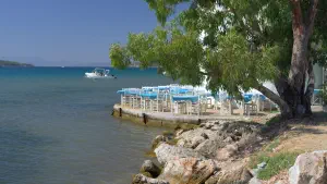 Mylos Taverna  - SKIATHOS