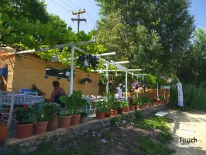 Sklithri Beach  - SKIATHOS