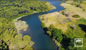 Strofilia Lake  - SKIATHOS