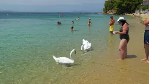 Troulos Beach  - SKIATHOS