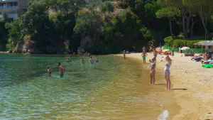 Tzaneria Beach  - SKIATHOS