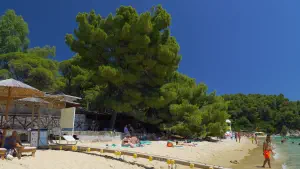 Vromolimnos Beach  - SKIATHOS