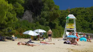 Vromolimnos Beach  - SKIATHOS