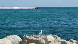 Ammos Beach  - SKOPELOS