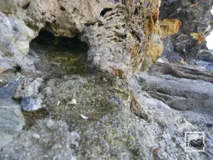 Chondrogiorgi Beach  - SKOPELOS