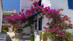 SKOPELOS